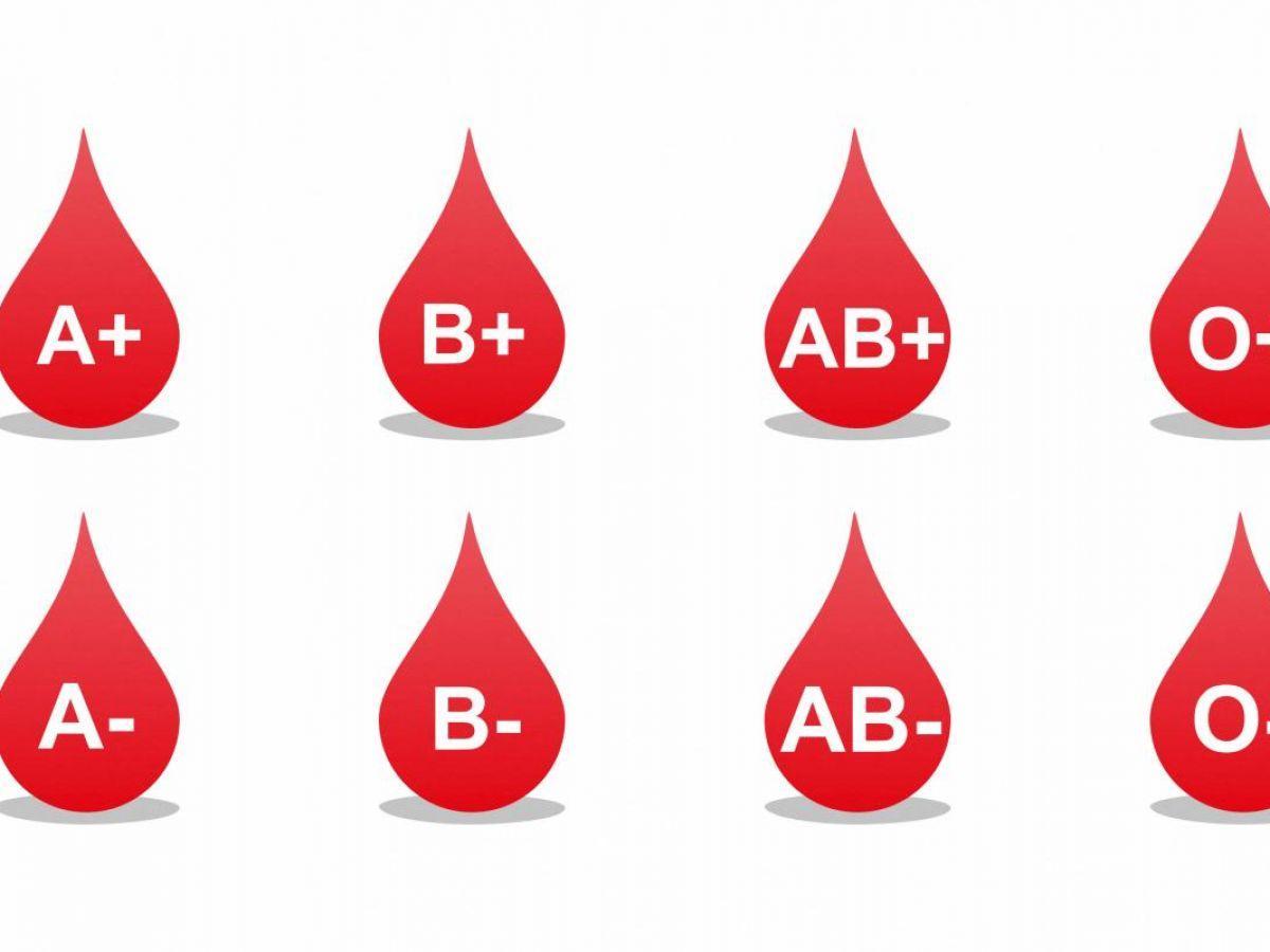 Les groupes sanguins, témoins de l’histoire humaine Les groupes sanguins, témoins de l’histoire humaine