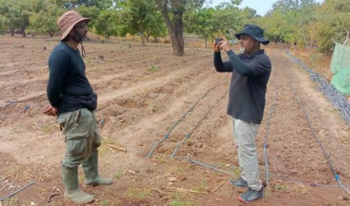 Poro, une équipe d'ingénieurs agronomes britanniques visite une plantation expérimentale dans le village de Lataha Poro, une équipe d'ingénieurs agronomes britanniques visite une plantation expérimentale dans le village de Lataha