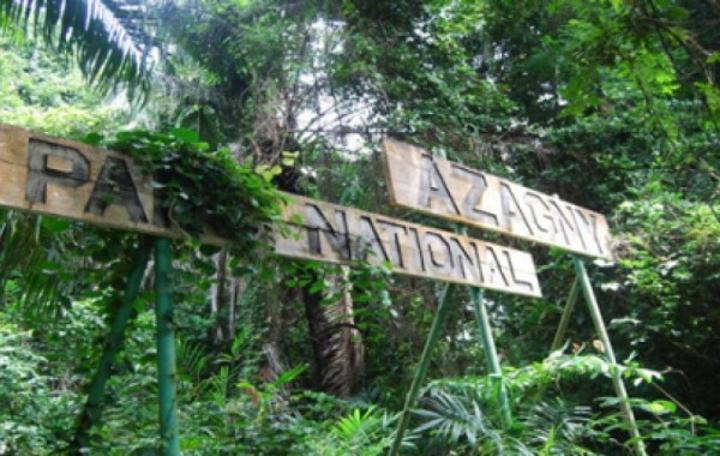 Les parcs nationaux de Taï, de la Comoé, d'Azagny, du Mont-Sangbé et les réserves du Cavally et de Bossématié bénéficient d'une subvention de près de 2 milliards FCFA Les parcs nationaux de Taï, de la Comoé, d'Azagny, du Mont-Sangbé et les réserves du Cavally et de Bossématié bénéficient d'une subvention de près de 2 milliards FCFA