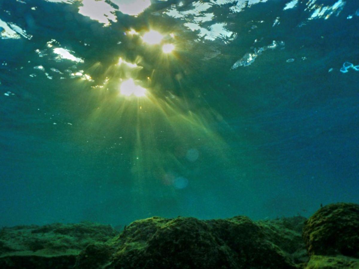 Les températures record des océans ne reflètent pas une accélération du réchauffement, selon une étude Les températures record des océans ne reflètent pas une accélération du réchauffement, selon une étude