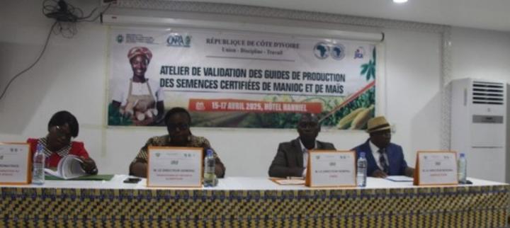 Yamoussoukro, validation des guides de production des semence certifiées pour une agriculture ivoirienne durable et souveraine Yamoussoukro, validation des guides de production des semence certifiées pour une agriculture ivoirienne durable et souveraine
