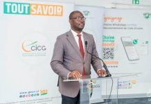 Transport Aérien en Côte d’Ivoire: Signes Positifs Transport Aérien en Côte d'Ivoire: Signes Positifs