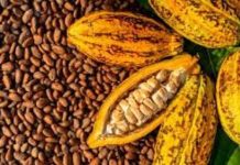 Grève Illimitée Du SYNAP-CI Actions Précisées Grève Illimitée Du SYNAP-CI Actions Précisées