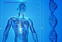 Évolution future de l’humain et ses implications Évolution future de l'humain et ses implications