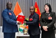 Diaspora Ivoirienne Comme Levier de Diplomatie Économique Diaspora Ivoirienne Comme Levier de Diplomatie Économique