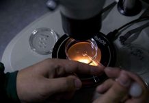 Crispr-Cas9 et la Conquête du Génome Humain Crispr-Cas9 et la Conquête du Génome Humain