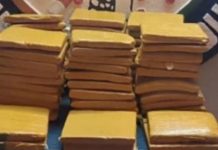 Bouaké Saisie de 66 Blocs de Cannabis chez un Dealer Bouaké Saisie de 66 Blocs de Cannabis chez un Dealer