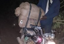 Côte d’Ivoire Saisie d’un Colis de Cannabis à Soko-Kabré Côte d'Ivoire Saisie d'un Colis de Cannabis à Soko-Kabré