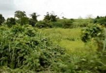 Aucune arme de guerre trouvée à Azaguié selon la Gendarmerie Aucune arme de guerre trouvée à Azaguié selon la Gendarmerie