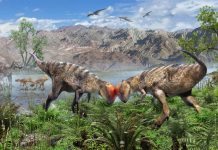 Découverte Du Plus Ancien Dinosaure À Crâne Dôme Découverte Du Plus Ancien Dinosaure À Crâne Dôme