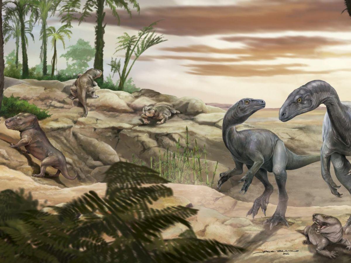 Prémisses du Gigantisme Chez un Dinosaure Petit Prémisses du Gigantisme Chez un Dinosaure Petit