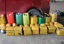 Saisie de 74 kg de cannabis par les Douanes Ivoiriennes Saisie de 74 kg de cannabis par les Douanes Ivoiriennes