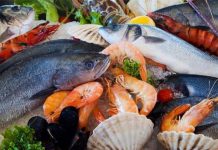 Coopération Économique Sud-Sud entre Vietnam et CEDEAO Coopération Économique Sud-Sud entre Vietnam et CEDEAO