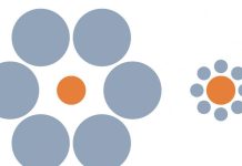 Animaux et Illusions d’Optique: Une Tromperie Partagée Animaux et Illusions d'Optique: Une Tromperie Partagée