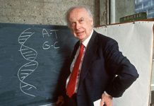 James Watson, pionnier de l’ADN à la réputation ternie James Watson, pionnier de l'ADN à la réputation ternie