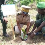 Guibéroua: Reboisement pour la Journée de la paix Guibéroua: Reboisement pour la Journée de la paix