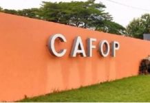 Affaire de faux diplômes au concours CAFOP Ministère clarifie Affaire de faux diplômes au concours CAFOP Ministère clarifie