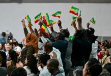 Échecs et Succès de la COP30 en Résumé Échecs et Succès de la COP30 en Résumé