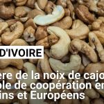 Coopération Européens-Africains dans la Noix de Cajou Coopération Européens-Africains dans la Noix de Cajou