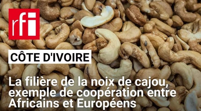 Coopération Européens-Africains dans la Noix de Cajou Coopération Européens-Africains dans la Noix de Cajou
