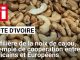 Coopération Européens-Africains dans la Noix de Cajou Coopération Européens-Africains dans la Noix de Cajou