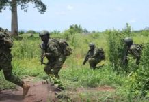 Sécurisation Élections Législatives 2025 Simulation Armée Sécurisation Élections Législatives 2025 Simulation Armée