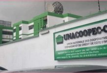 Condamnation d’une conseillère pour faux et blanchiment Condamnation d'une conseillère pour faux et blanchiment