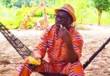 Guiberoua Perturbation de la Rencontre Blé Goudé Guiberoua Perturbation de la Rencontre Blé Goudé