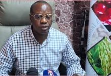 Cacao Président Synap-CI Dénonce Blocage Programmé Cacao Président Synap-CI Dénonce Blocage Programmé