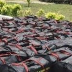 Dames Dogbo et Djolo Non Coupables de Trafic de Drogue Dames Dogbo et Djolo Non Coupables de Trafic de Drogue