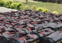 Dames Dogbo et Djolo Non Coupables de Trafic de Drogue Dames Dogbo et Djolo Non Coupables de Trafic de Drogue