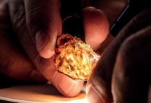 Révélations Sur L’Ambre Libanais Révélations Sur L'Ambre Libanais