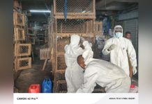 Opération de désinfection des marchés de volailles Opération de désinfection des marchés de volailles