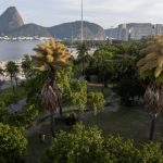 Palmiers Fleurissent Puis Meurent à Rio de Janeiro Palmiers Fleurissent Puis Meurent à Rio de Janeiro