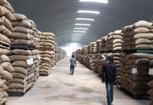 Difficultés du Conseil Café Cacao Ivoirien à Diversifier Ventes Difficultés du Conseil Café Cacao Ivoirien à Diversifier Ventes