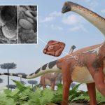 Sauropodes: Dinosaures Géants aux Couleurs Variées Sauropodes: Dinosaures Géants aux Couleurs Variées