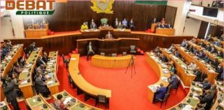 Promesses des candidats et rôle du député en 2025 Promesses des candidats et rôle du député en 2025