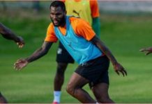 Éléphants Qualifiés pour le Mondial 2026 et CAN en Espagne Éléphants Qualifiés pour le Mondial 2026 et CAN en Espagne