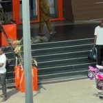 Législatives et CAN des fêtes de fin d’année 2025 Législatives et CAN des fêtes de fin d'année 2025