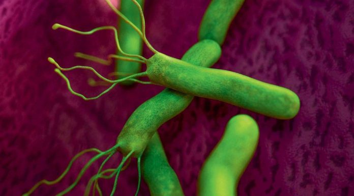 Combat Contre Helicobacter Pylori et Ulcères Gastriques Combat Contre Helicobacter Pylori et Ulcères Gastriques