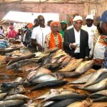 Construction d’un nouveau marché à Dimbokro en 2026 Construction d'un nouveau marché à Dimbokro en 2026