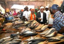 Construction d’un nouveau marché à Dimbokro en 2026 Construction d'un nouveau marché à Dimbokro en 2026