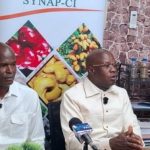 Cacao 2025-2026 en crise avec 700 000 tonnes bloquées Cacao 2025-2026 en crise avec 700 000 tonnes bloquées