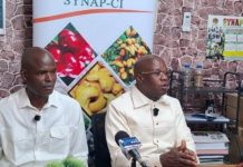 Cacao 2025-2026 en crise avec 700 000 tonnes bloquées Cacao 2025-2026 en crise avec 700 000 tonnes bloquées