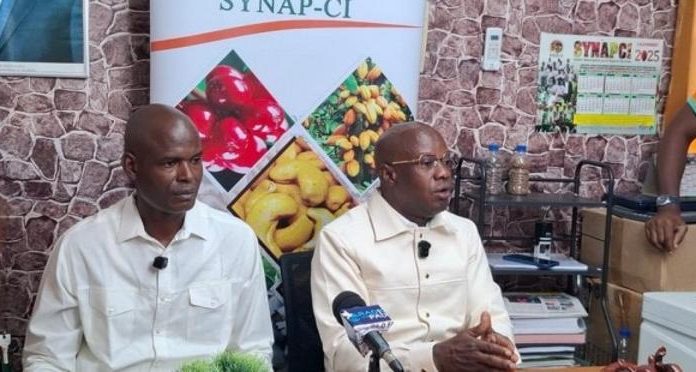 Cacao 2025-2026 en crise avec 700 000 tonnes bloquées Cacao 2025-2026 en crise avec 700 000 tonnes bloquées