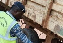 Gendarmerie Immobilise Camions Contre Incivisme Routier Gendarmerie Immobilise Camions Contre Incivisme Routier