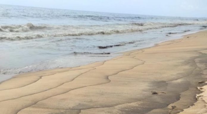 Pollution Marine à Grand-Bassam, CIAPOL Alerté Pollution Marine à Grand-Bassam, CIAPOL Alerté