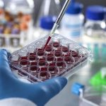 Résistance naturelle aux leucémies expliquée Résistance naturelle aux leucémies expliquée