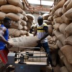 Cacao Côte d’Ivoire Ghana Alliance à Étendre Cacao Côte d'Ivoire Ghana Alliance à Étendre