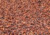 Côte d’Ivoire: Cacao, l’État prêt à mobiliser 280 milliards de Fcfa pour sauver environ 100 mille tonnes de fèves et protéger les producteurs Côte d'Ivoire: Cacao, l'État prêt à mobiliser 280 milliards de Fcfa pour sauver environ 100 mille tonnes de fèves et protéger les producteurs